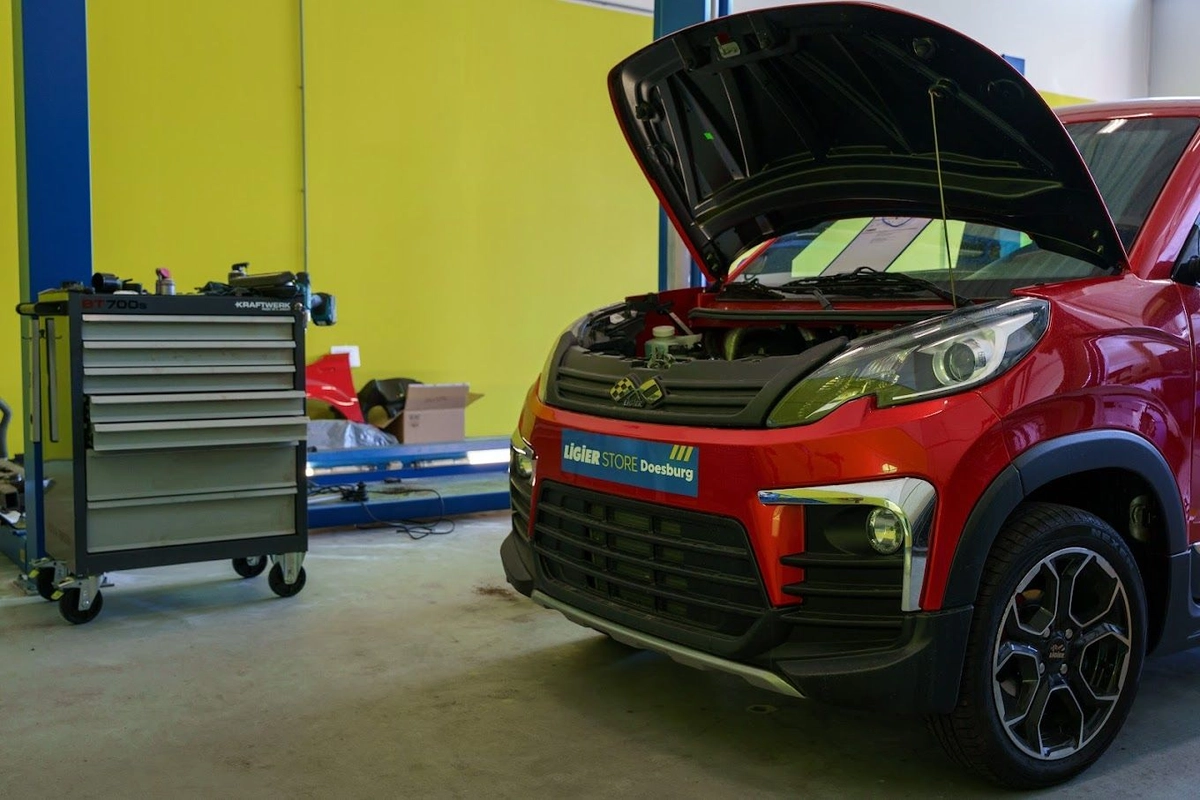 Onderhoud Ligier en Microcar.jpg
